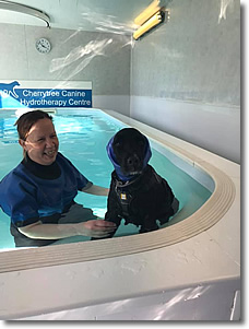 Cherrytree Canine  Hydrotherapy Kent -  Gallery 9